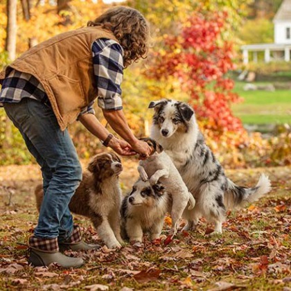 Muckster Ii Mid Muckboot Für Damen Braun