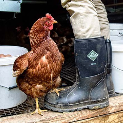 Muckboot Herren Chore Mid Black