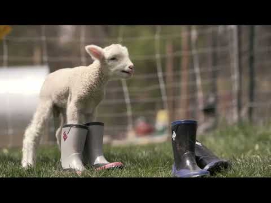 Häckslerstiefel Für Kinder Schwarz Blau Muckboot