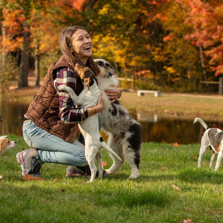 Muckboot Graue Apex-Schnürkurzstiefel Für Damen