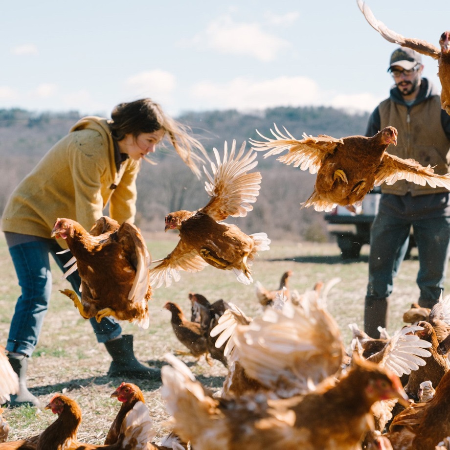 Muckboot Damen Muck Originals Schlupfstiefeletten Taupe